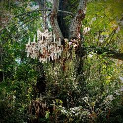 The Fae Dinning Room